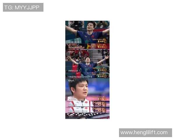 樊振东：归来之后，竟然变强了